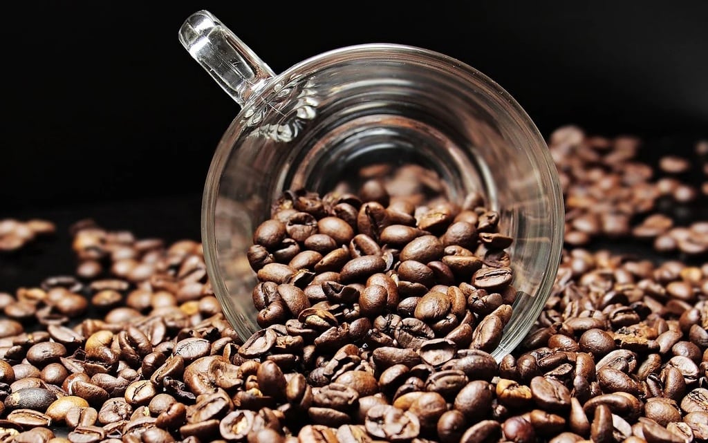 Le café adaptogène, la nouvelle tendance qui séduit les esprits curieux